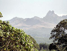 Mount Kenya seen through foliage and a cloudy sky