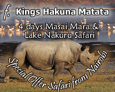 4 days Masai M<ara and Lake Nakuru Safari - F Kings Hakuna Matata - Special offer Safari