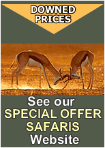 Visit the F Kings Msafiri website: www.fkingsmsafiri.com for a selection of special offer safaris from F. Kings Tours and Safaris Limited