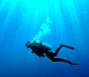 scuba_diving